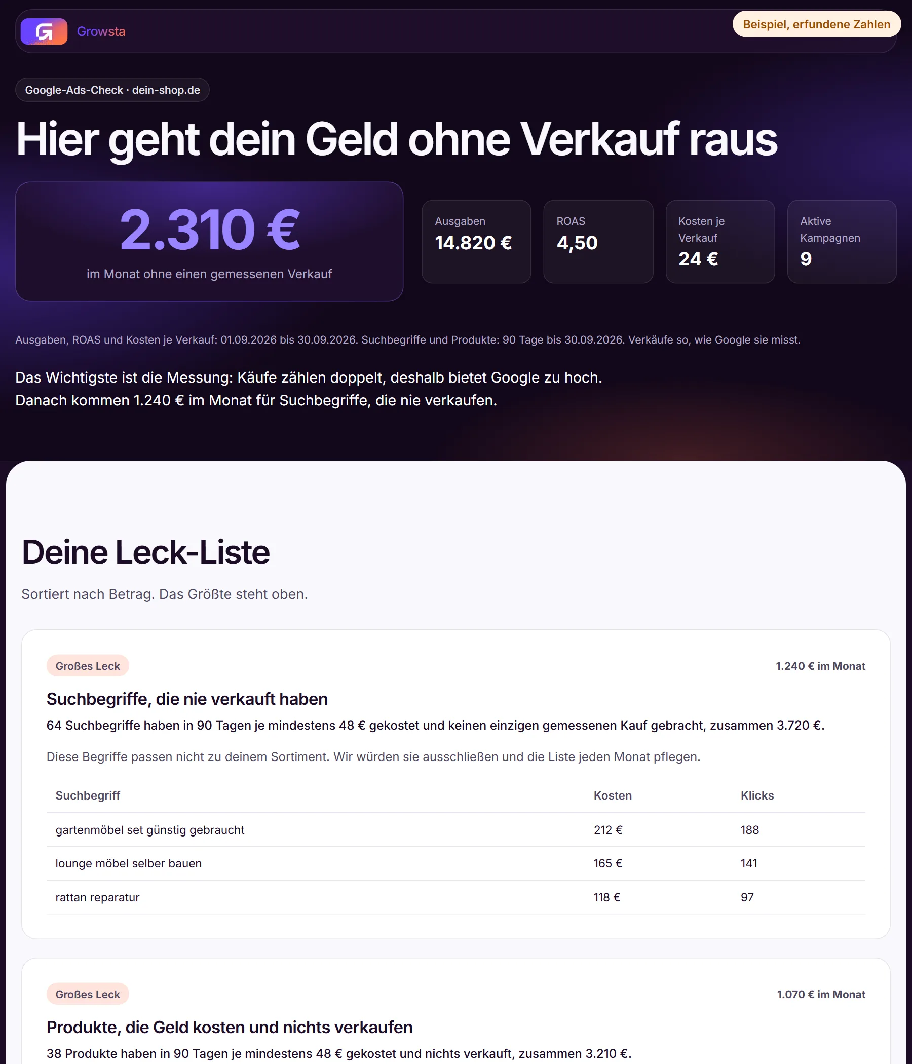 Vorschau des Kurzberichts: Leck-Summe im Monat, Kennzahlen und die Leck-Liste mit Suchbegriffen